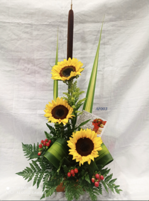 Arreglo radiante naturaleza