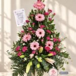 Gerberas Amables