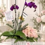 Orquidea floral