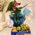 Anturio frutal